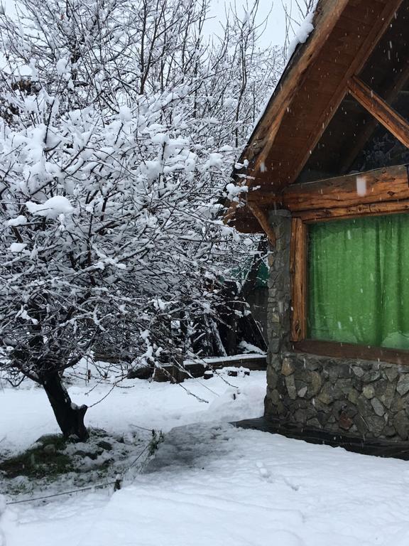 Хостел Cabanas Pehuenia Эль-Больсон Экстерьер фото