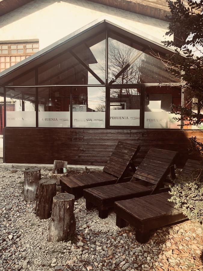 Хостел Cabanas Pehuenia Эль-Больсон Экстерьер фото